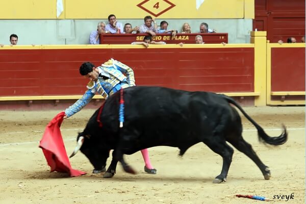 Novillada picada en OléMoral 2024 Moralzarzal Novillada picada en OléMoral 2024 Moralzarzal