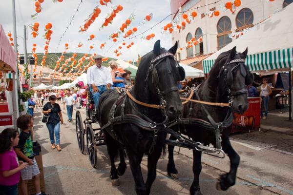 Paseos en calesas por OléMoral, Moralzarzal 2024 Paseos en calesas por OléMoral, Moralzarzal 2024
